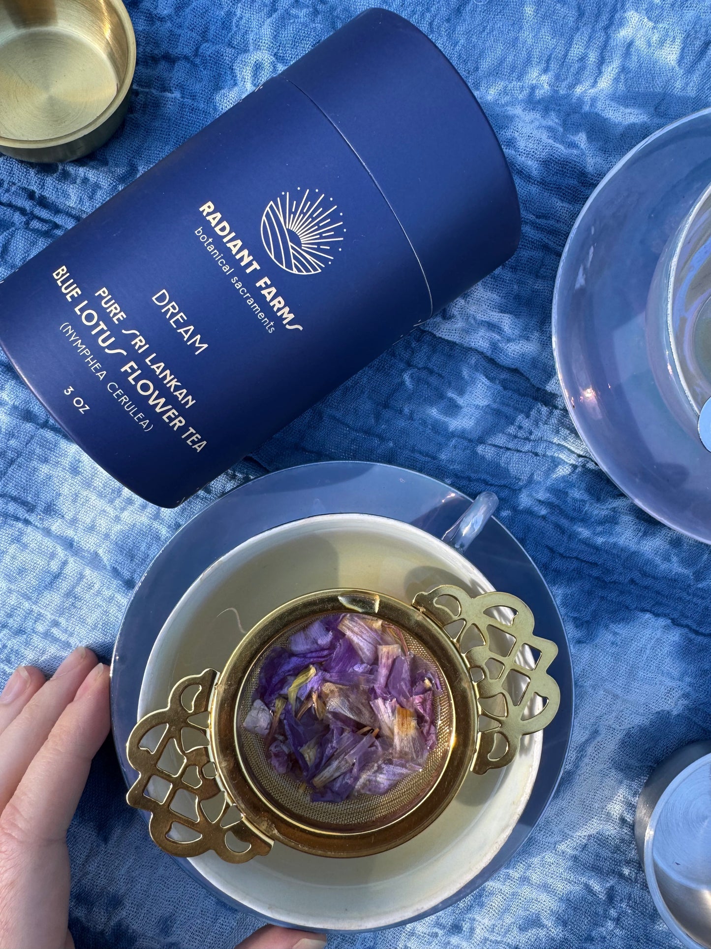 How Do I Make a Blue Lotus Tea Latte? A Recipe for Dreaming.