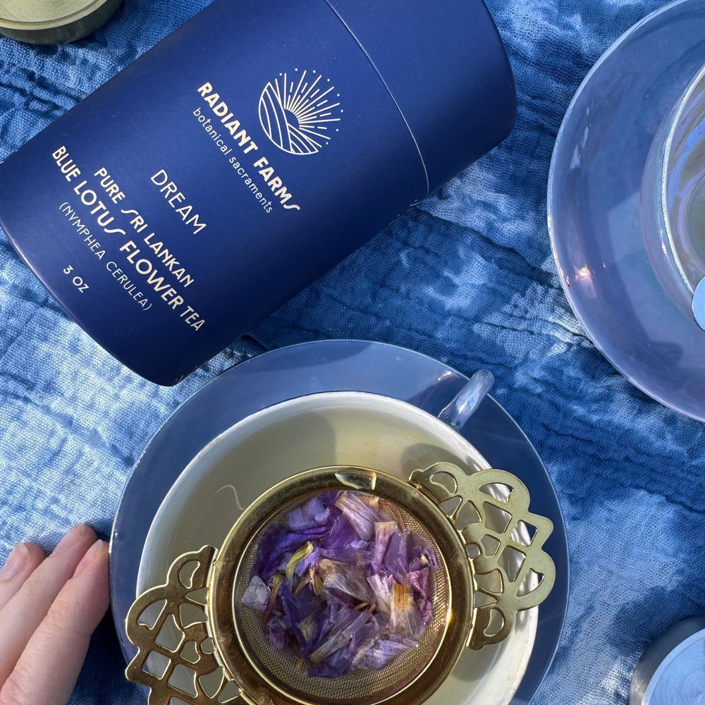 How Do I Make a Blue Lotus Tea Latte? A Recipe for Dreaming.